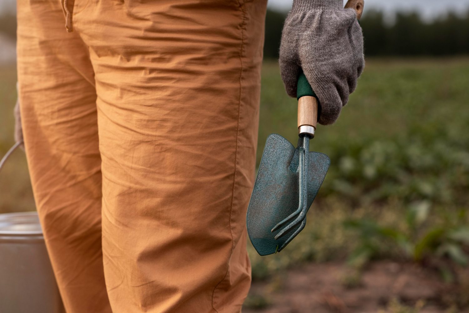 병해충관리(심화)